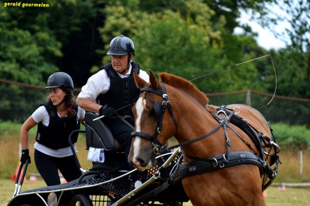 074 Week-end du cheval-Concours Attelage à La Forêt Fouesnant 9-10 juillet 2016