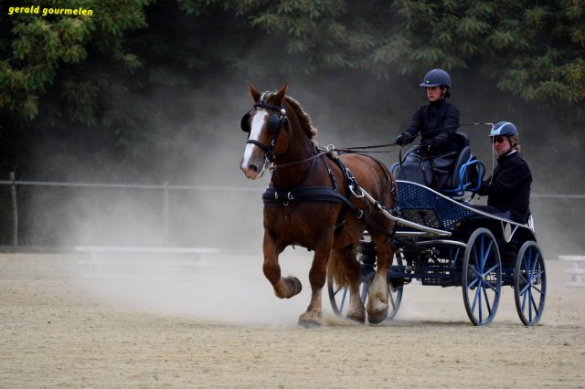074 Week-end du cheval-Concours Attelage à La Forêt Fouesnant 9-10 juillet 2016