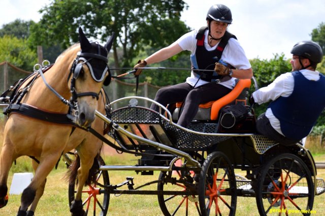 074 Week-end du cheval-Concours Attelage à La Forêt Fouesnant 9-10 juillet 2016