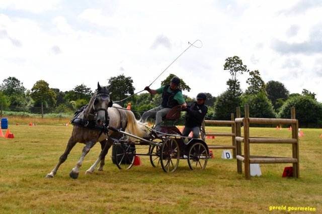 074 Week-end du cheval-Concours Attelage à La Forêt Fouesnant 9-10 juillet 2016