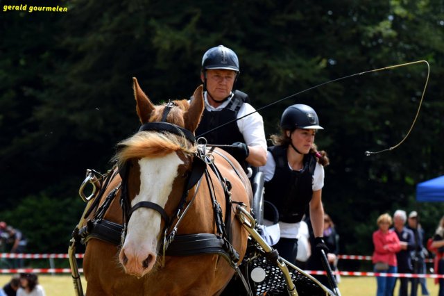 074 Week-end du cheval-Concours Attelage à La Forêt Fouesnant 9-10 juillet 2016
