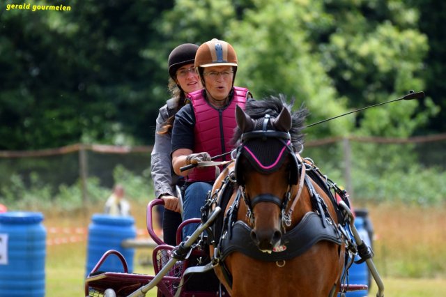 074 Week-end du cheval-Concours Attelage à La Forêt Fouesnant 9-10 juillet 2016