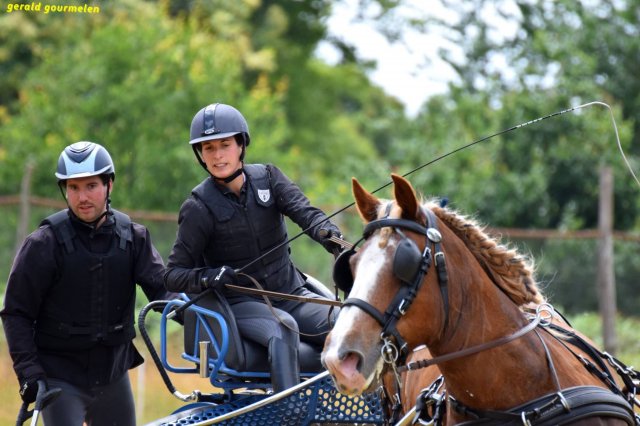 074 Week-end du cheval-Concours Attelage à La Forêt Fouesnant 9-10 juillet 2016
