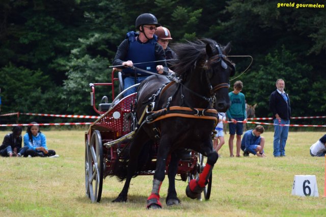 074 Week-end du cheval-Concours Attelage à La Forêt Fouesnant 9-10 juillet 2016