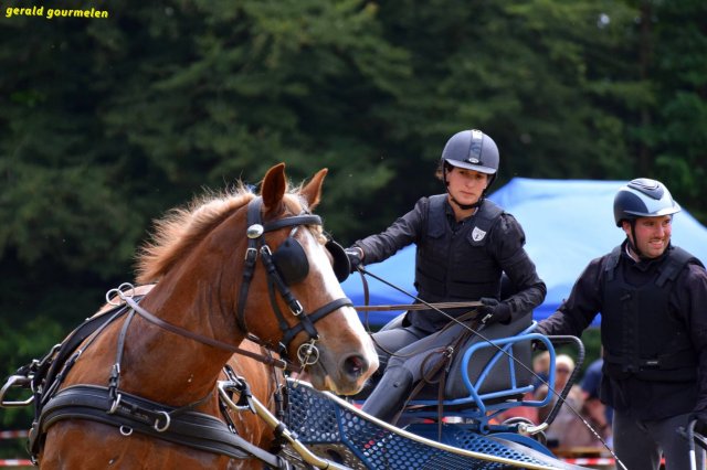 074 Week-end du cheval-Concours Attelage à La Forêt Fouesnant 9-10 juillet 2016