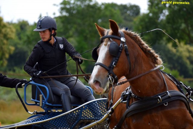 074 Week-end du cheval-Concours Attelage à La Forêt Fouesnant 9-10 juillet 2016