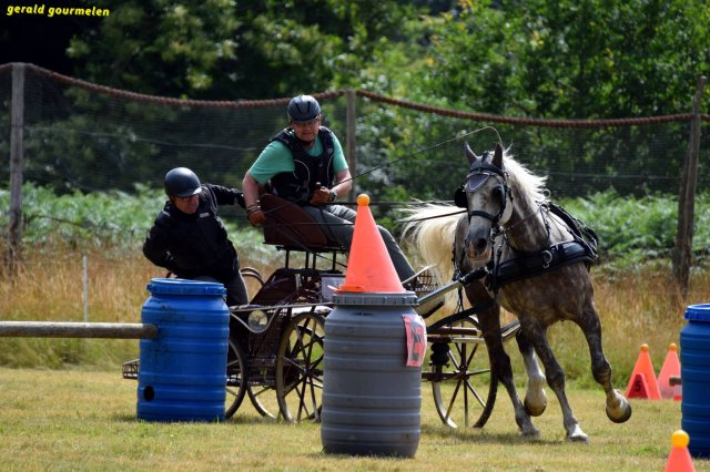 074 Week-end du cheval-Concours Attelage à La Forêt Fouesnant 9-10 juillet 2016