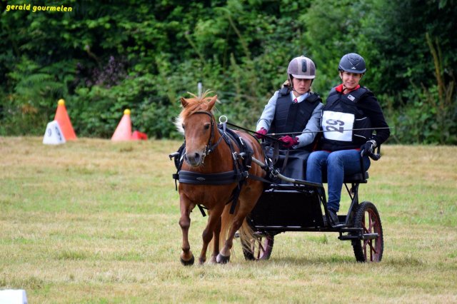074 Week-end du cheval-Concours Attelage à La Forêt Fouesnant 9-10 juillet 2016