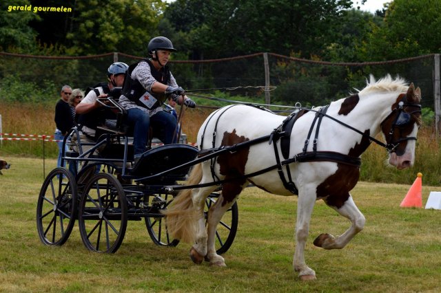 074 Week-end du cheval-Concours Attelage à La Forêt Fouesnant 9-10 juillet 2016