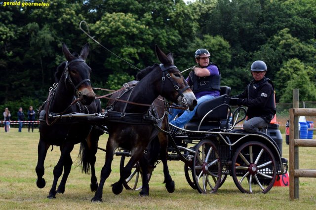 074 Week-end du cheval-Concours Attelage à La Forêt Fouesnant 9-10 juillet 2016