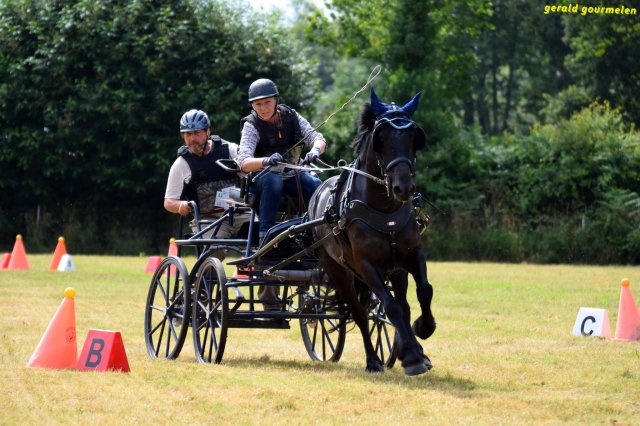 074 Week-end du cheval-Concours Attelage à La Forêt Fouesnant 9-10 juillet 2016