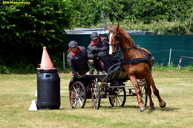 074 Week-end du cheval-Concours Attelage à La Forêt Fouesnant 9-10 juillet 2016