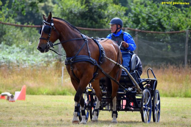 074 Week-end du cheval-Concours Attelage à La Forêt Fouesnant 9-10 juillet 2016