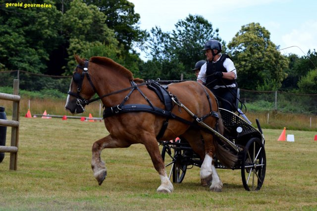 074 Week-end du cheval-Concours Attelage à La Forêt Fouesnant 9-10 juillet 2016