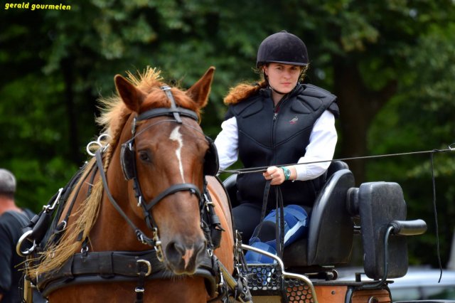 074 Week-end du cheval-Concours Attelage à La Forêt Fouesnant 9-10 juillet 2016