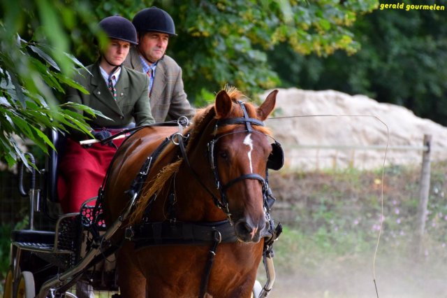 074 Week-end du cheval-Concours Attelage à La Forêt Fouesnant 9-10 juillet 2016