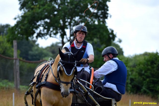 074 Week-end du cheval-Concours Attelage à La Forêt Fouesnant 9-10 juillet 2016