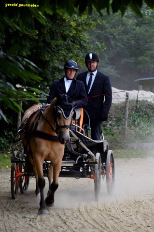 074 Week-end du cheval-Concours Attelage à La Forêt Fouesnant 9-10 juillet 2016