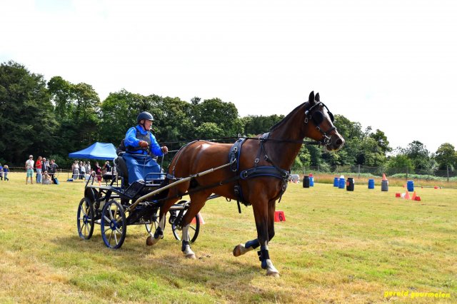 074 Week-end du cheval-Concours Attelage à La Forêt Fouesnant 9-10 juillet 2016