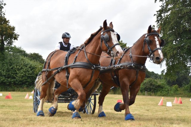 074 Week-end du cheval-Concours Attelage à La Forêt Fouesnant 9-10 juillet 2016