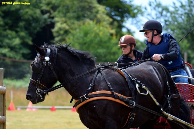 074 Week-end du cheval-Concours Attelage à La Forêt Fouesnant 9-10 juillet 2016