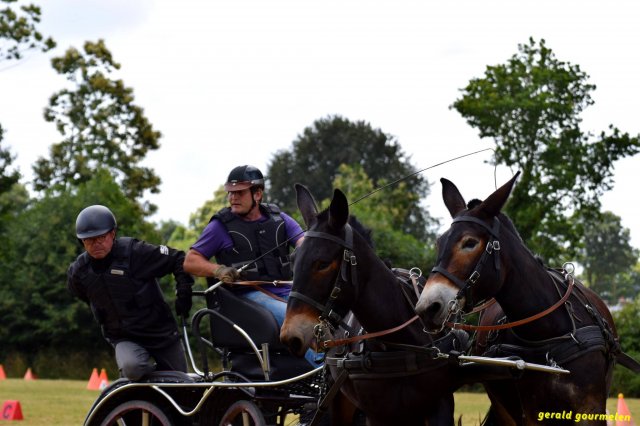 074 Week-end du cheval-Concours Attelage à La Forêt Fouesnant 9-10 juillet 2016