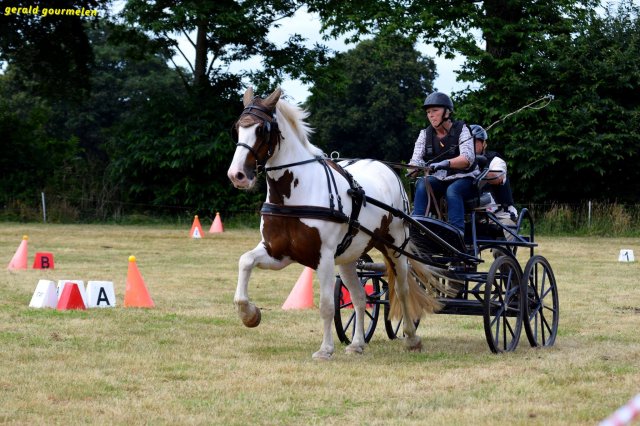 074 Week-end du cheval-Concours Attelage à La Forêt Fouesnant 9-10 juillet 2016