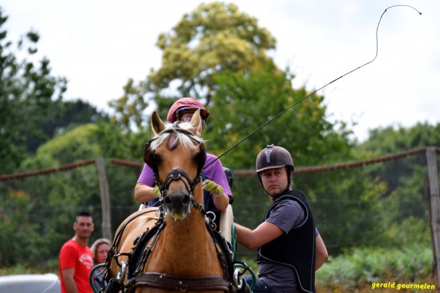 074 Week-end du cheval-Concours Attelage à La Forêt Fouesnant 9-10 juillet 2016