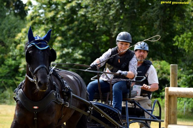 074 Week-end du cheval-Concours Attelage à La Forêt Fouesnant 9-10 juillet 2016