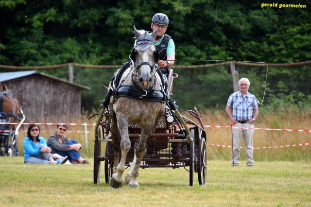 074 Week-end du cheval-Concours Attelage à La Forêt Fouesnant 9-10 juillet 2016