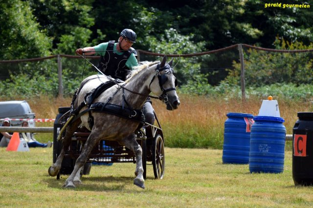 074 Week-end du cheval-Concours Attelage à La Forêt Fouesnant 9-10 juillet 2016