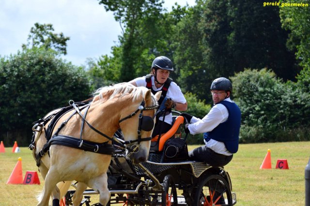 074 Week-end du cheval-Concours Attelage à La Forêt Fouesnant 9-10 juillet 2016