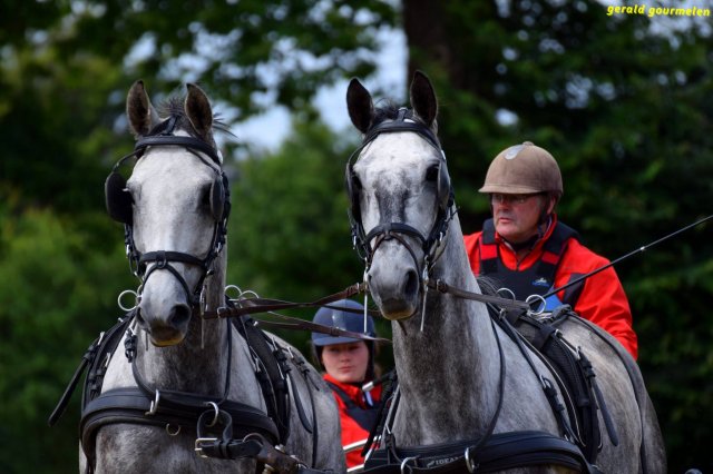 074 Week-end du cheval-Concours Attelage à La Forêt Fouesnant 9-10 juillet 2016