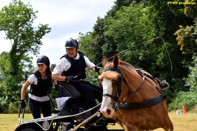 074 Week-end du cheval-Concours Attelage à La Forêt Fouesnant 9-10 juillet 2016