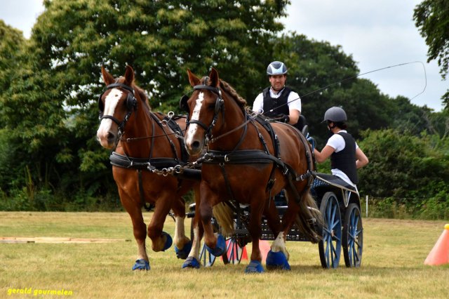 074 Week-end du cheval-Concours Attelage à La Forêt Fouesnant 9-10 juillet 2016