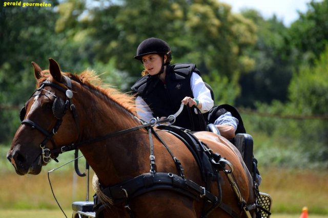 074 Week-end du cheval-Concours Attelage à La Forêt Fouesnant 9-10 juillet 2016