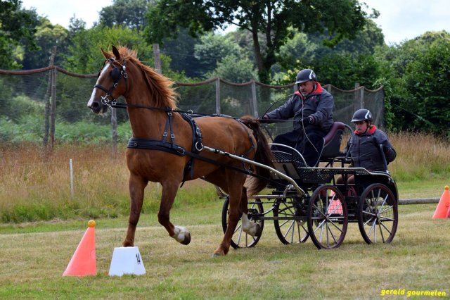 074 Week-end du cheval-Concours Attelage à La Forêt Fouesnant 9-10 juillet 2016