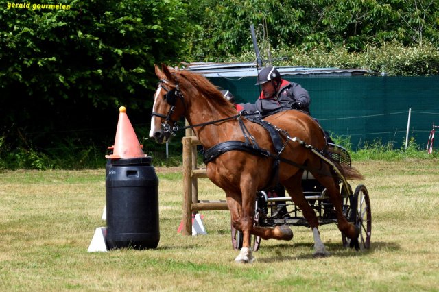 074 Week-end du cheval-Concours Attelage à La Forêt Fouesnant 9-10 juillet 2016