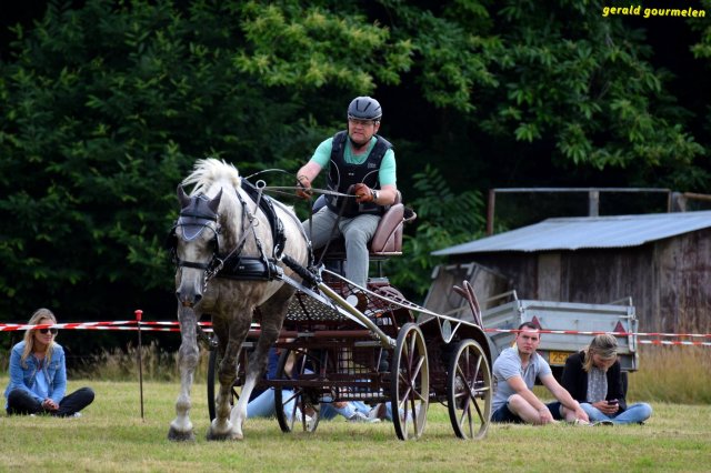 074 Week-end du cheval-Concours Attelage à La Forêt Fouesnant 9-10 juillet 2016