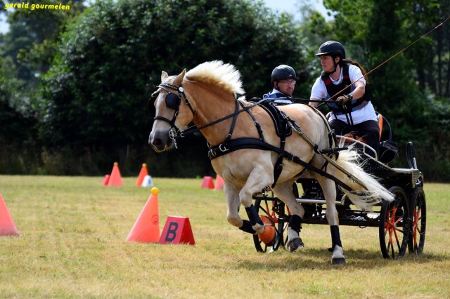 074 Week-end du cheval-Concours Attelage à La Forêt Fouesnant 9-10 juillet 2016