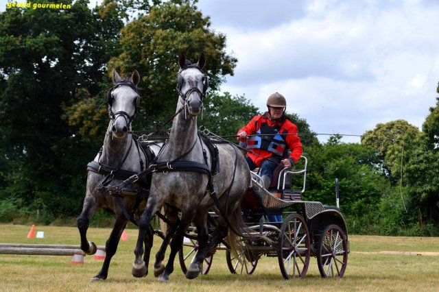 074 Week-end du cheval-Concours Attelage à La Forêt Fouesnant 9-10 juillet 2016