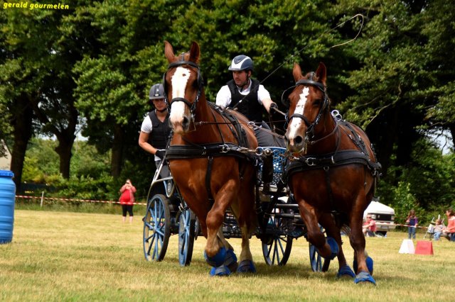074 Week-end du cheval-Concours Attelage à La Forêt Fouesnant 9-10 juillet 2016