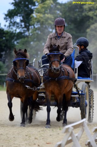 074 Week-end du cheval-Concours Attelage à La Forêt Fouesnant 9-10 juillet 2016