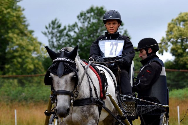 074 Week-end du cheval-Concours Attelage à La Forêt Fouesnant 9-10 juillet 2016