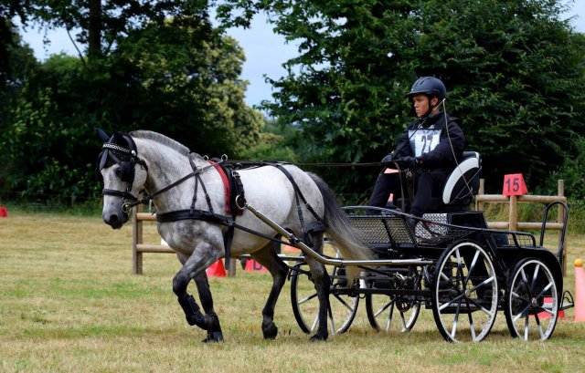 074 Week-end du cheval-Concours Attelage à La Forêt Fouesnant 9-10 juillet 2016