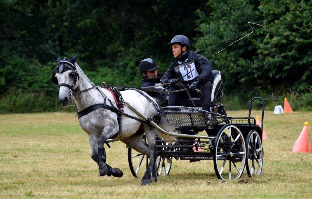 074 Week-end du cheval-Concours Attelage à La Forêt Fouesnant 9-10 juillet 2016