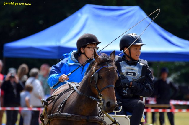 074 Week-end du cheval-Concours Attelage à La Forêt Fouesnant 9-10 juillet 2016