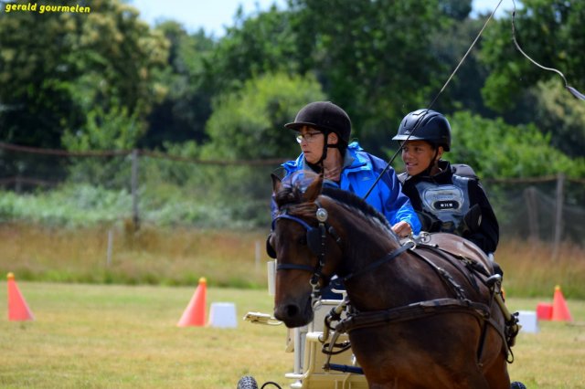 074 Week-end du cheval-Concours Attelage à La Forêt Fouesnant 9-10 juillet 2016