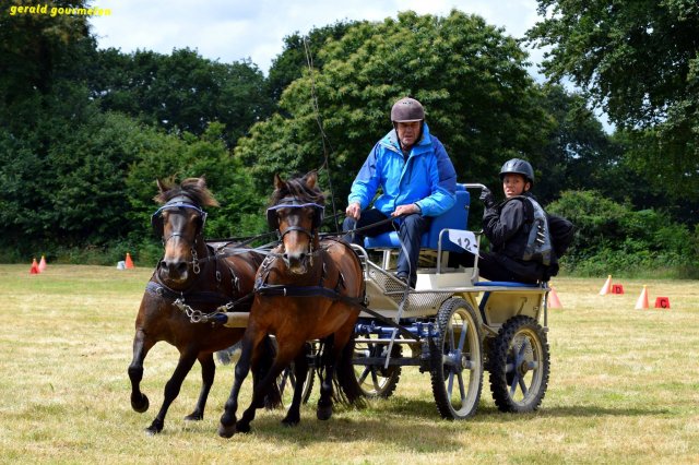 074 Week-end du cheval-Concours Attelage à La Forêt Fouesnant 9-10 juillet 2016