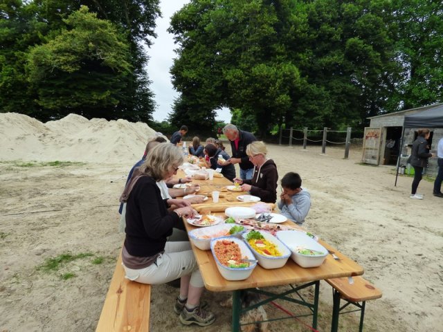074 Week-end du cheval-Concours Attelage à La Forêt Fouesnant 9-10 juillet 2016